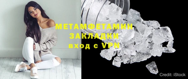индика Абаза