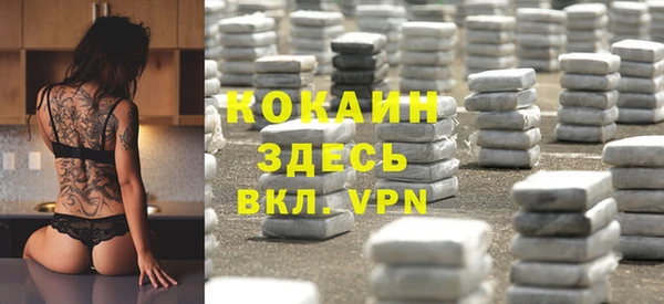 метадон Алексин