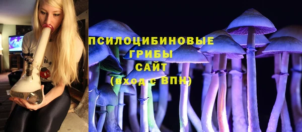 метадон Алексин